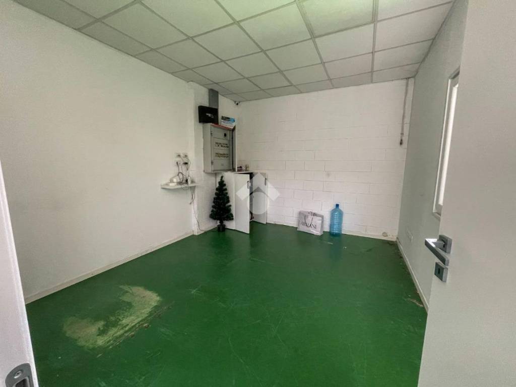 immagine annuncio 11 di 14