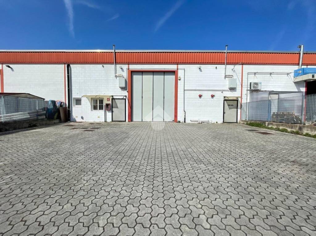 immagine annuncio 12 di 14