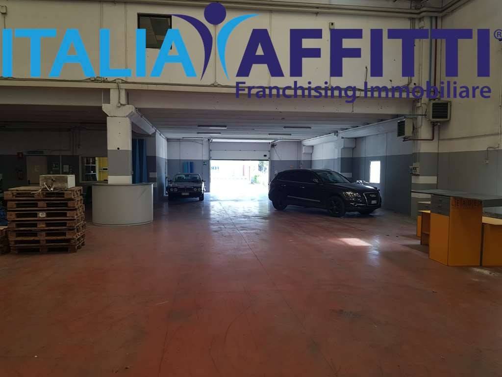 immagine annuncio 9 di 15