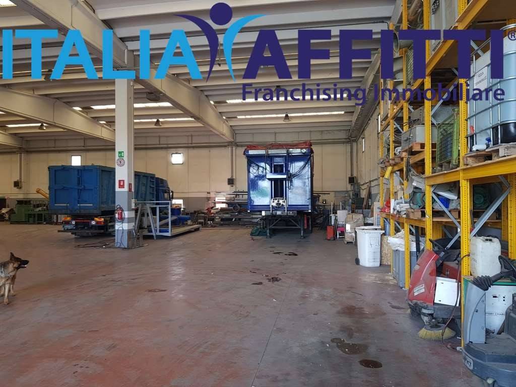 immagine annuncio 12 di 15