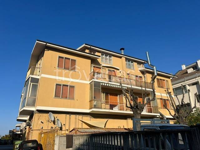 immagine annuncio 1 di 14