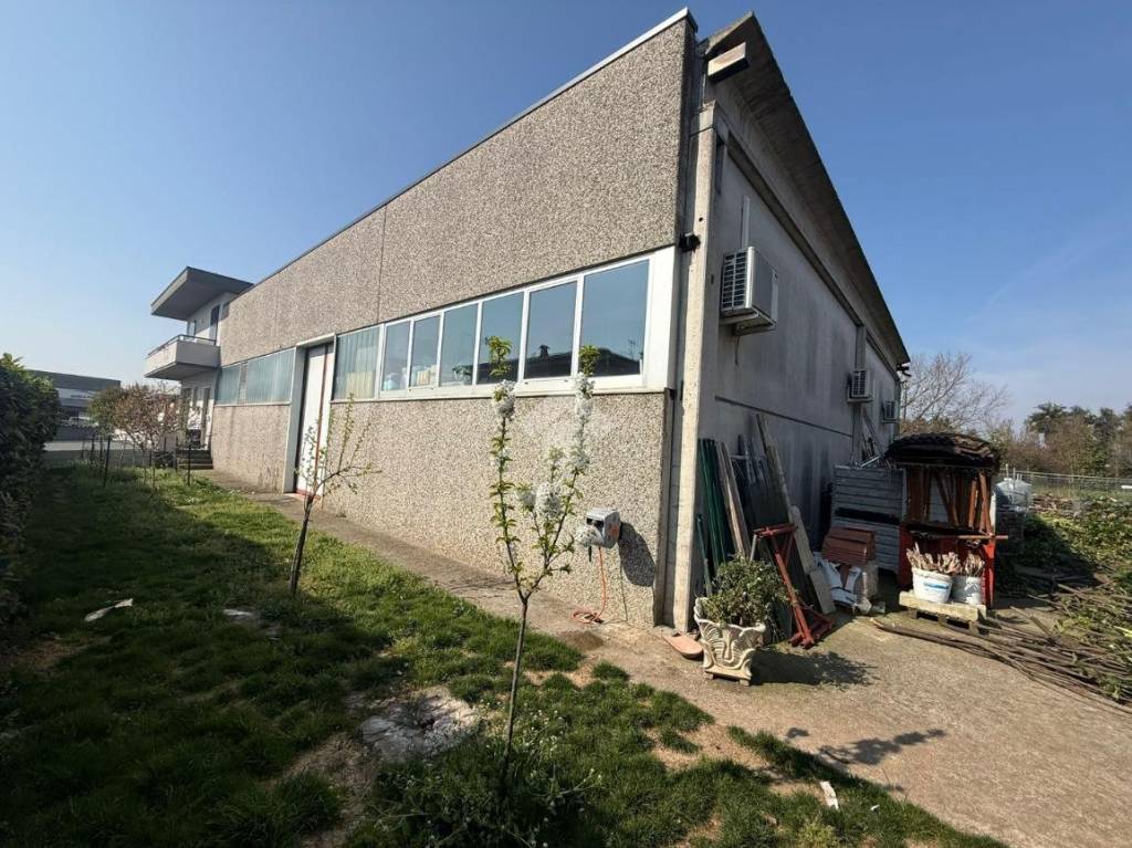 immagine annuncio 6 di 15