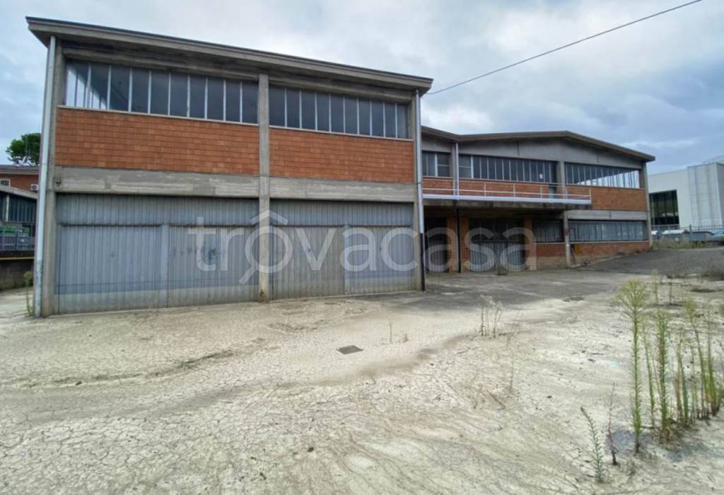 immagine annuncio 2 di 11