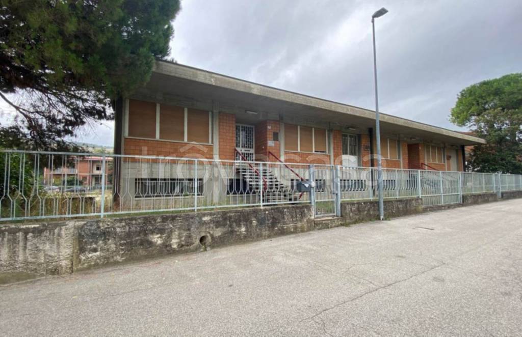 immagine annuncio 1 di 11