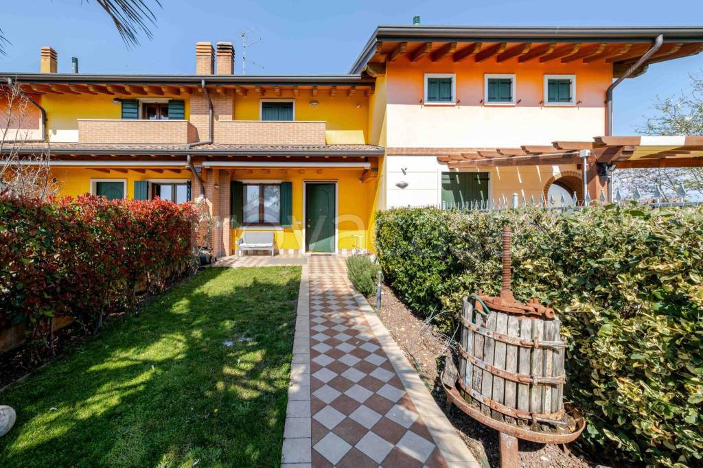 immagine annuncio 1 di 15