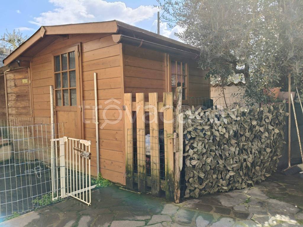 immagine annuncio 11 di 15