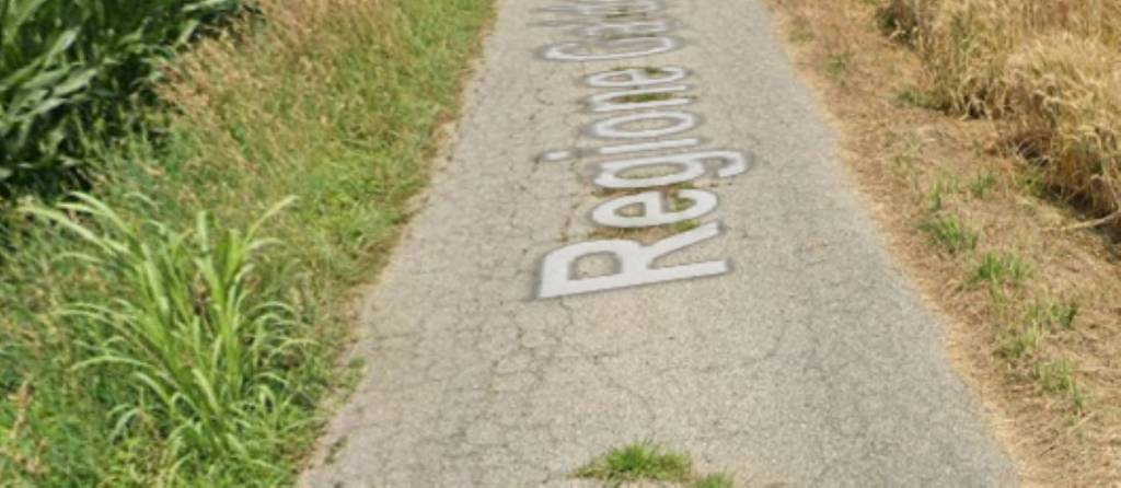 immagine annuncio 3 di 11