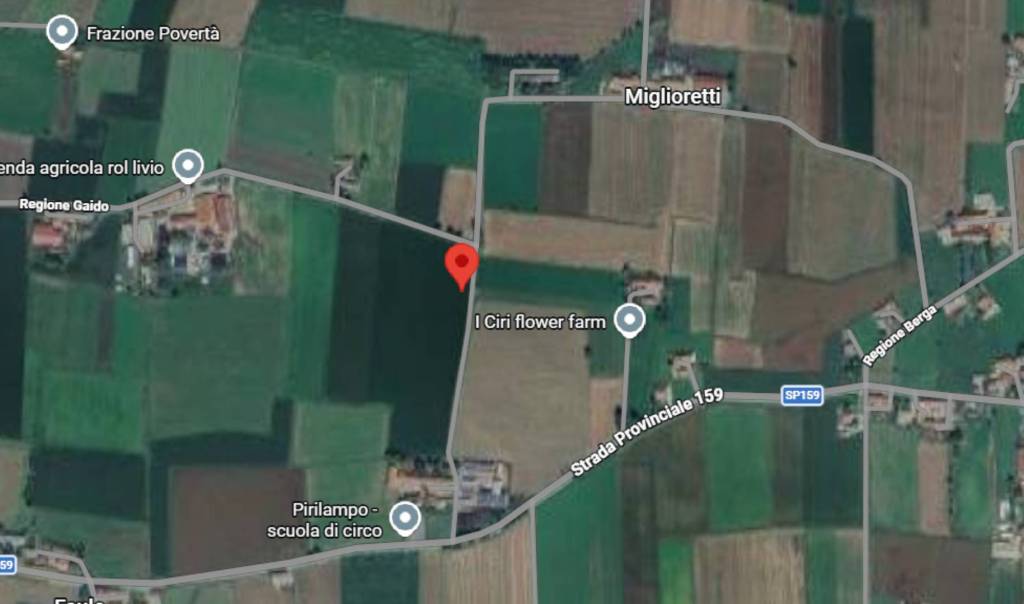 immagine annuncio 4 di 11