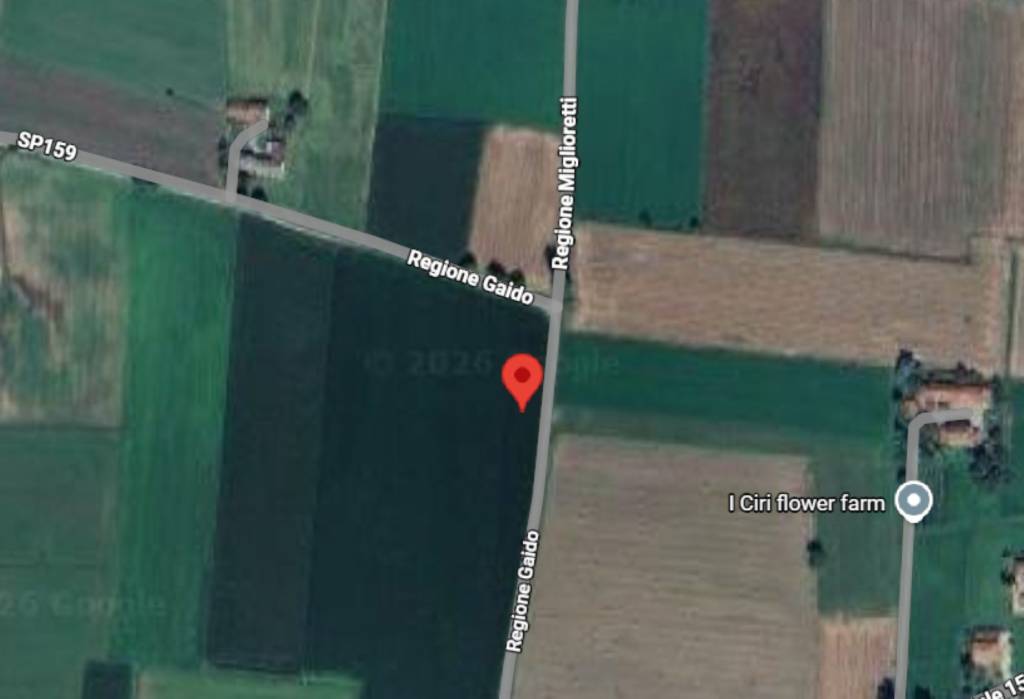 immagine annuncio 9 di 11