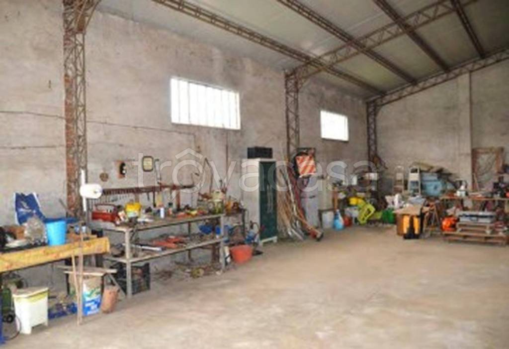 immagine annuncio 10 di 14