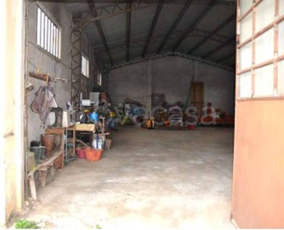 immagine annuncio 11 di 14