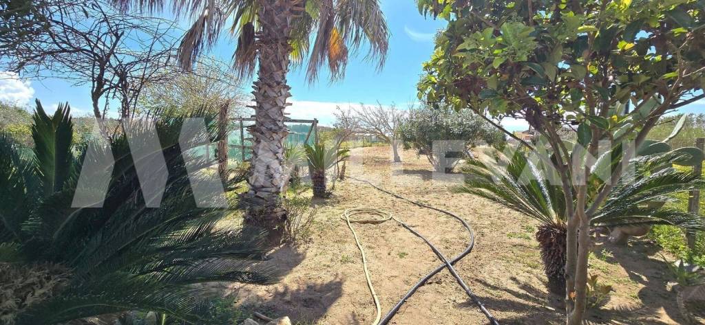 immagine annuncio 9 di 13