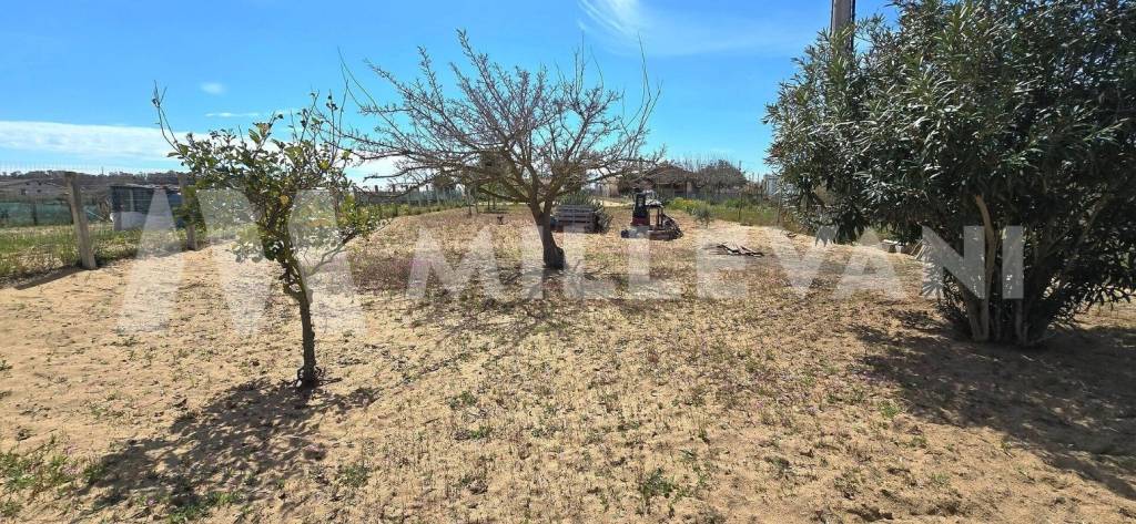 immagine annuncio 10 di 13