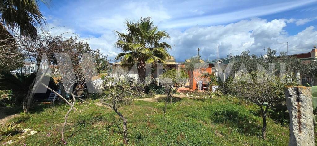 immagine annuncio 11 di 13