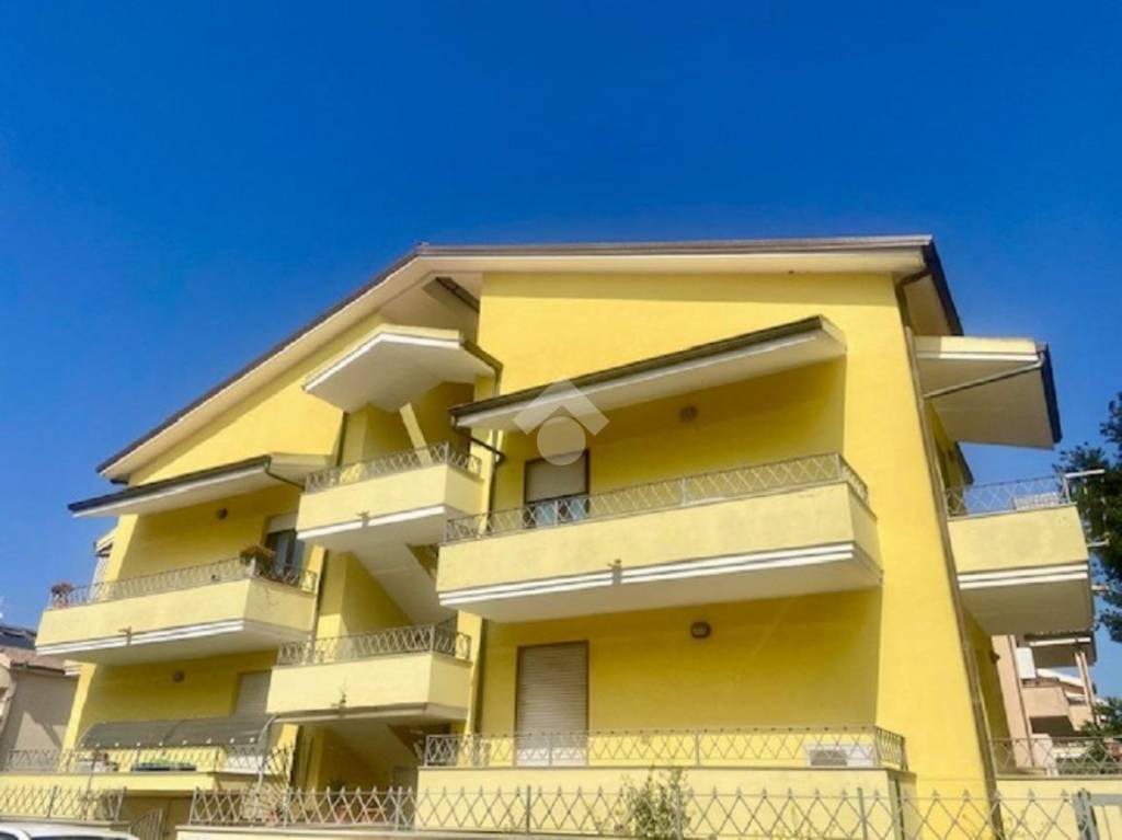 immagine annuncio 1 di 12