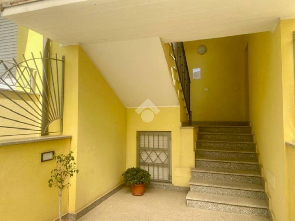 immagine annuncio 2 di 12