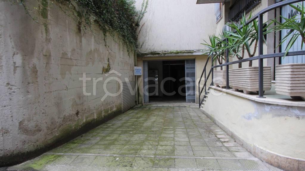 immagine annuncio 11 di 12