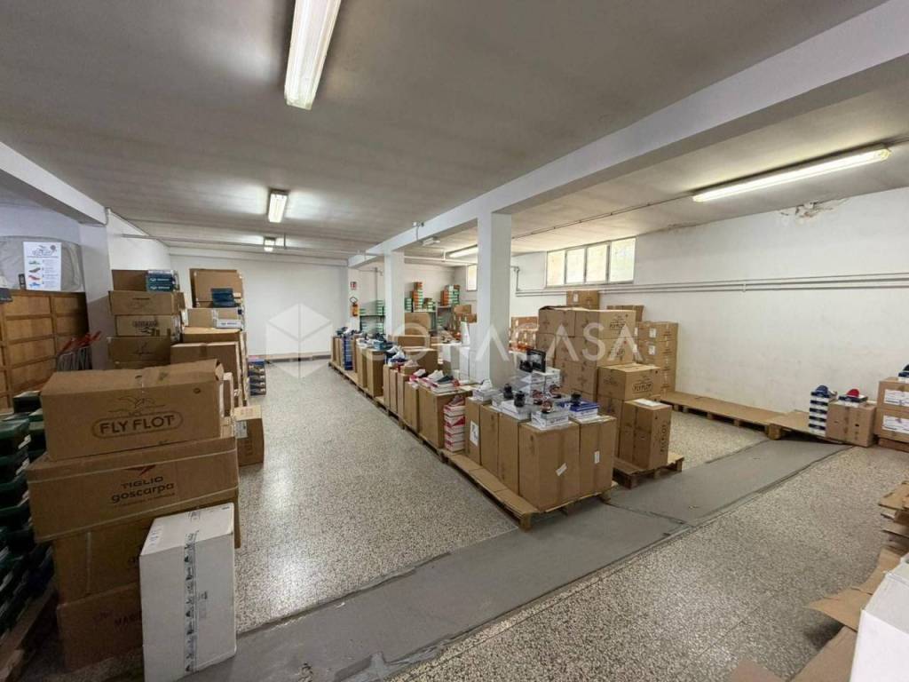 immagine annuncio 3 di 14