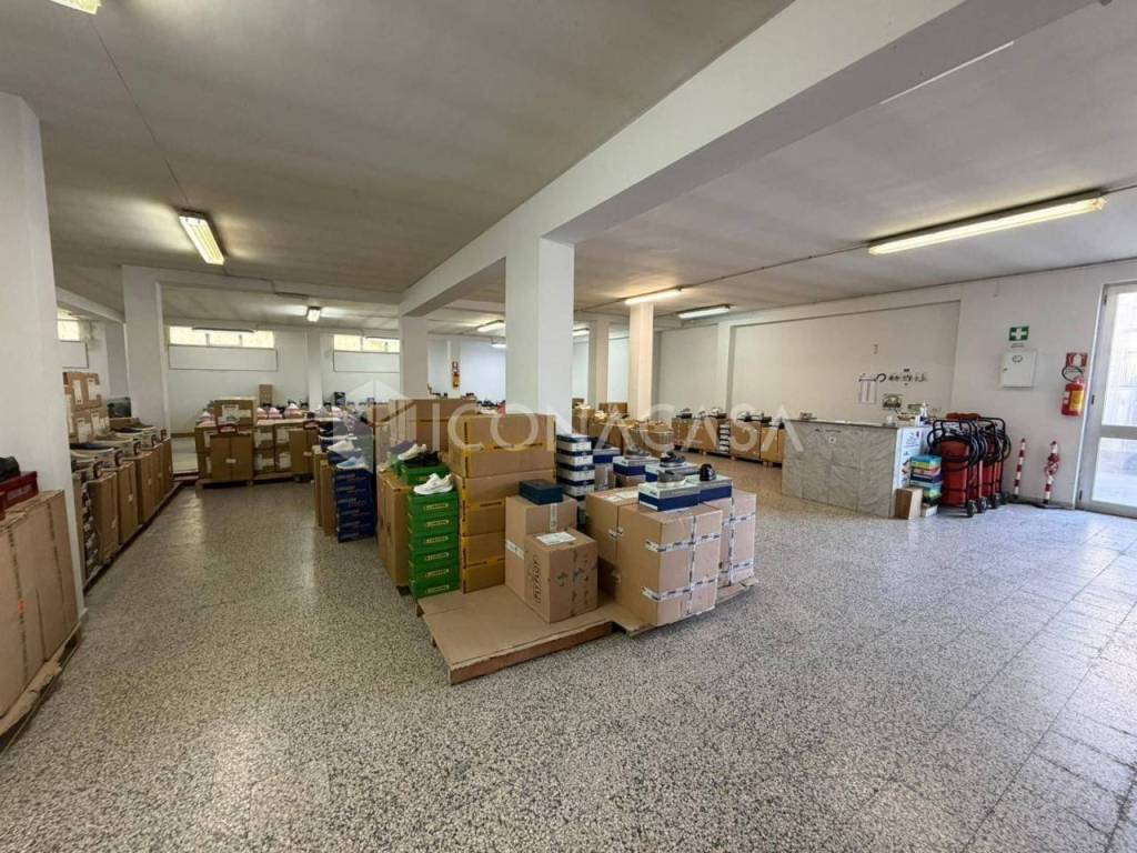 immagine annuncio 4 di 14