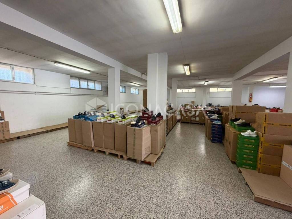 immagine annuncio 5 di 14