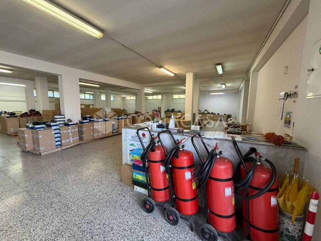 immagine annuncio 6 di 14