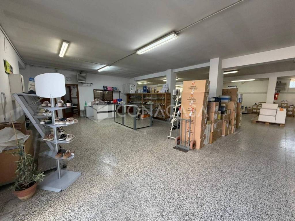 immagine annuncio 7 di 14