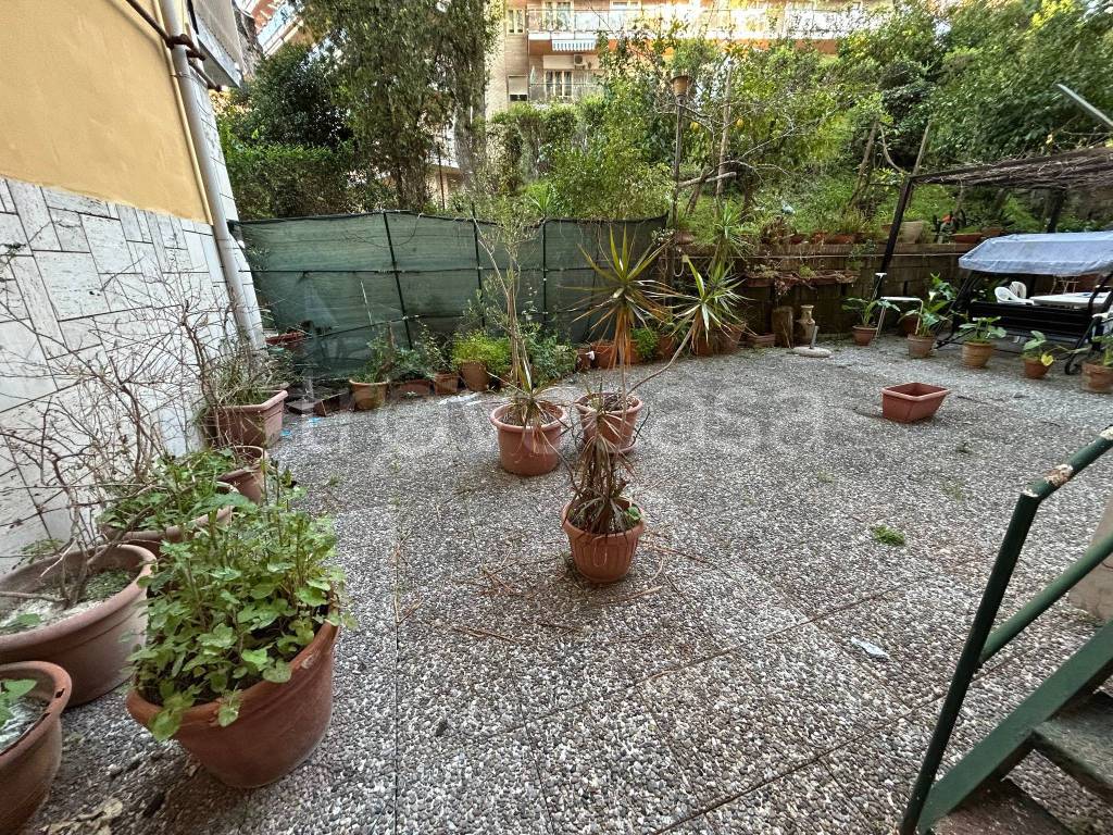 immagine annuncio 9 di 14