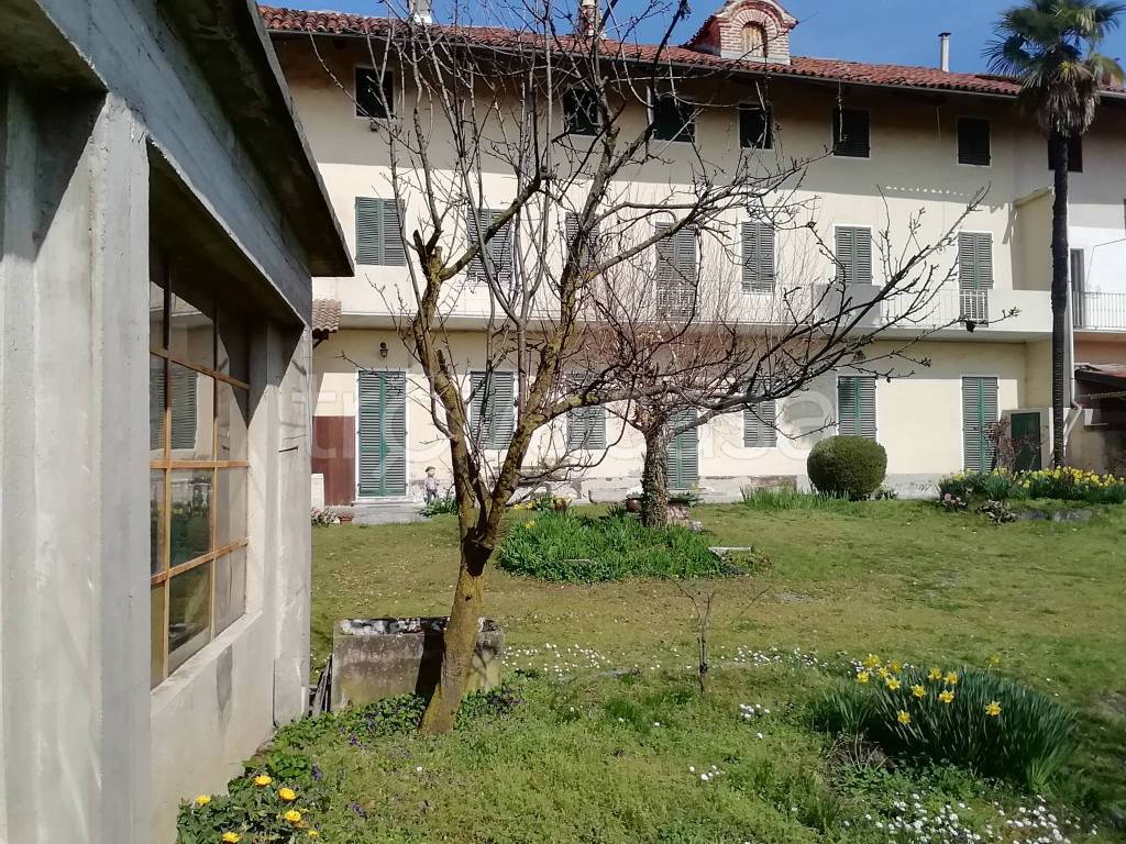 immagine annuncio 3 di 15