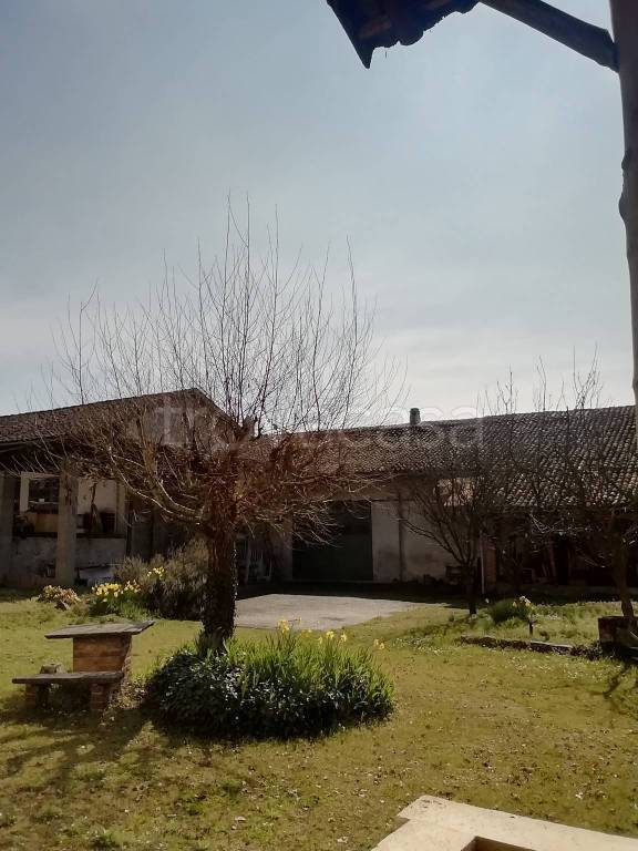 immagine annuncio 10 di 15