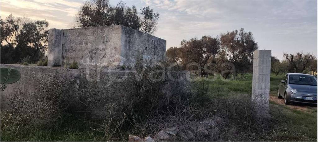 immagine annuncio 4 di 11