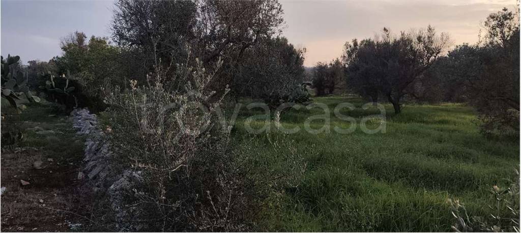 immagine annuncio 8 di 11