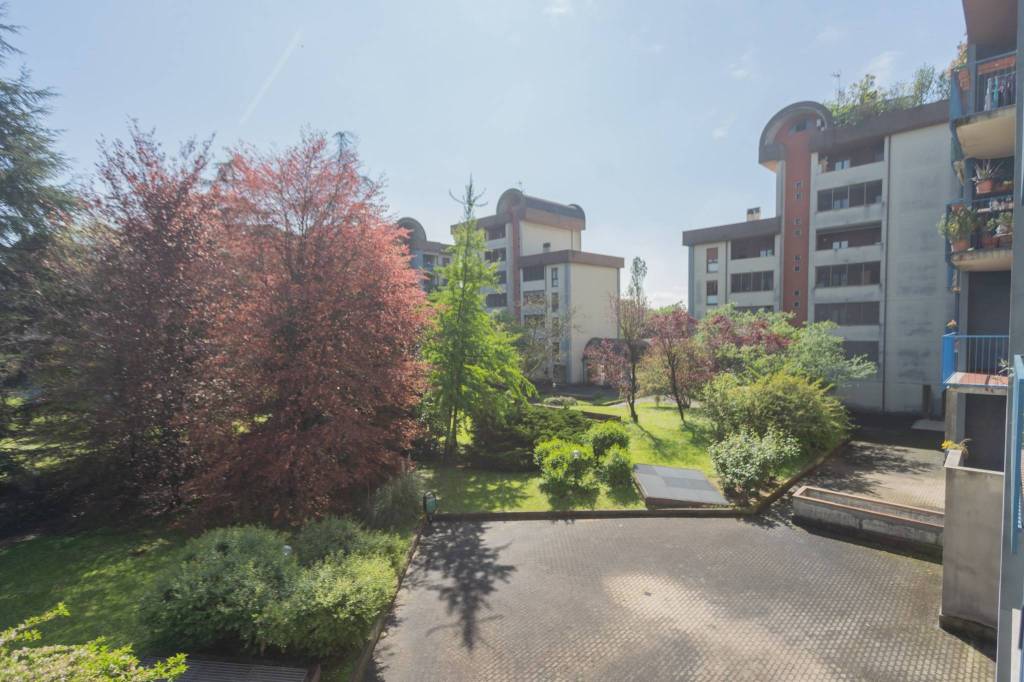 immagine annuncio 6 di 8