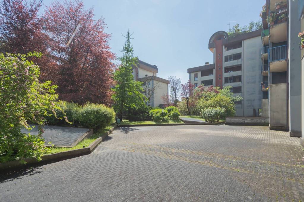 immagine annuncio 7 di 8