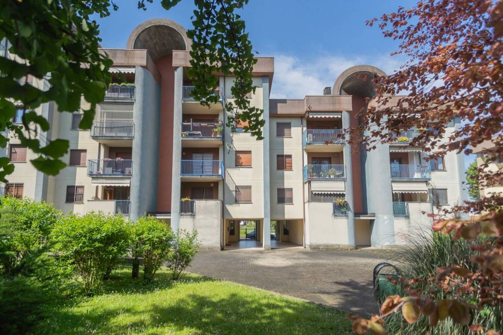 immagine annuncio 3 di 8