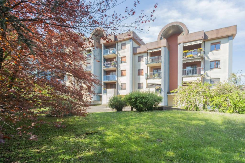 immagine annuncio 5 di 8