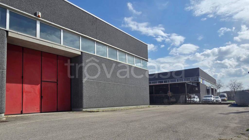 immagine annuncio 2 di 9