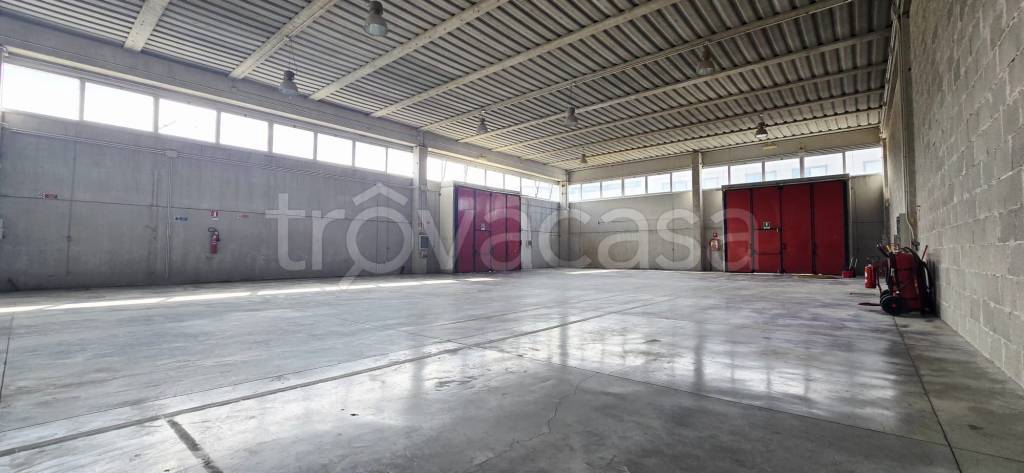 immagine annuncio 6 di 9