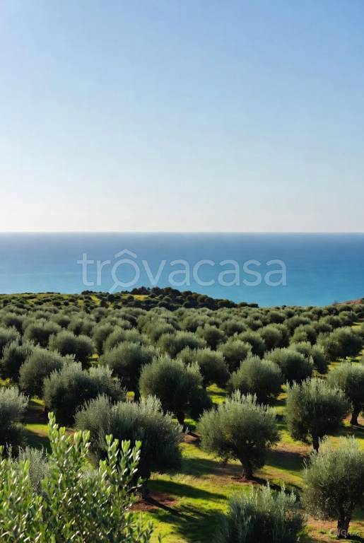 immagine annuncio 5 di 9