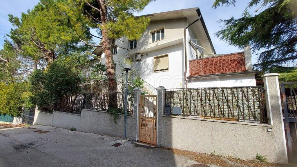 immagine annuncio 13 di 14