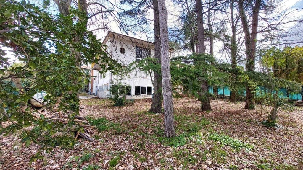 immagine annuncio 5 di 14