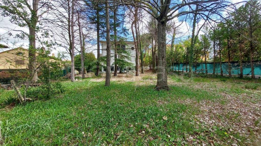 immagine annuncio 6 di 14