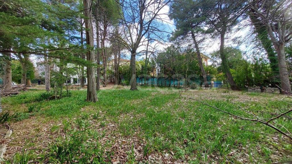 immagine annuncio 8 di 14