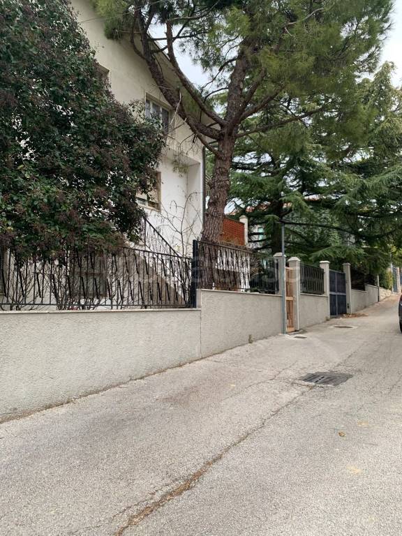 immagine annuncio 9 di 14