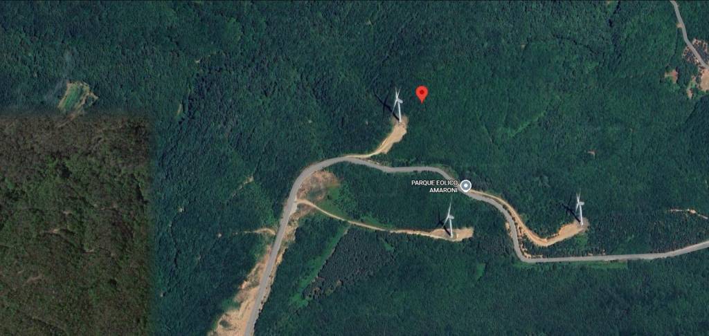 immagine annuncio 10 di 11