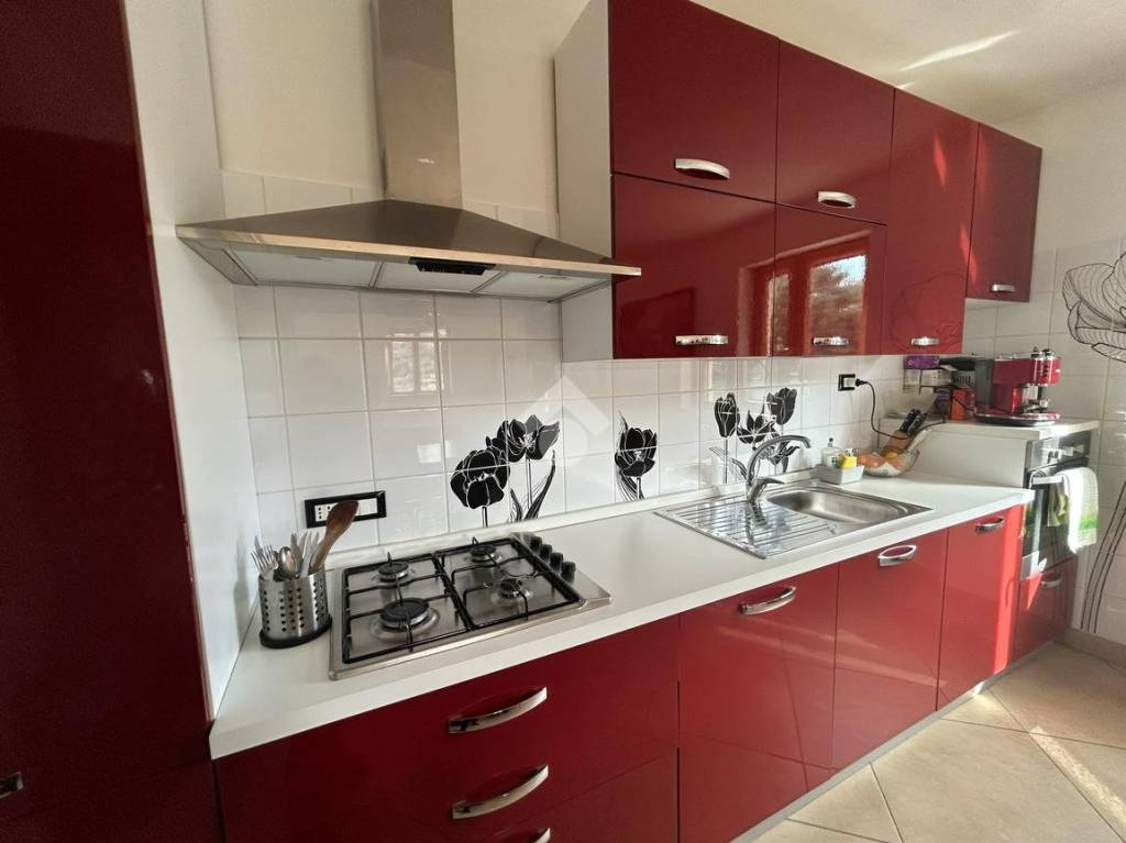 immagine annuncio 5 di 15