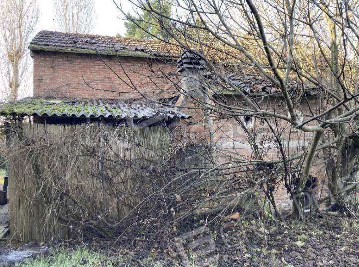 immagine annuncio 10 di 13