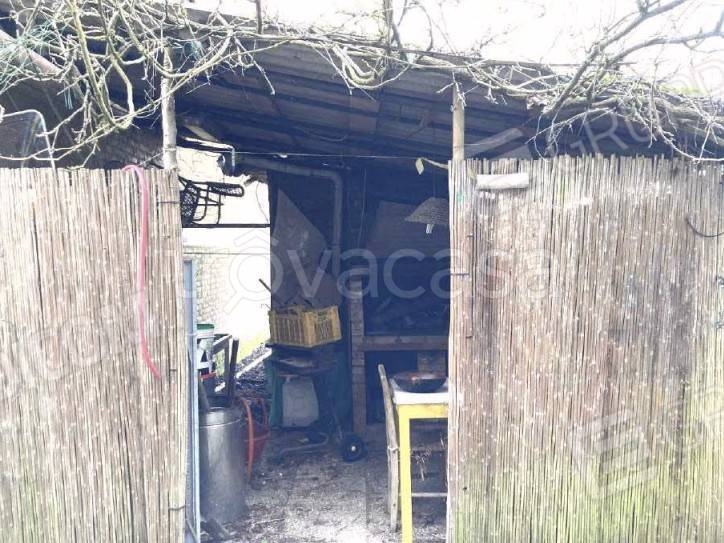 immagine annuncio 11 di 13