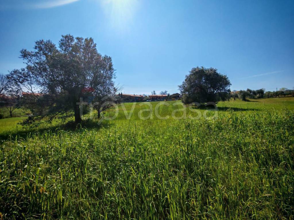 immagine annuncio 13 di 15