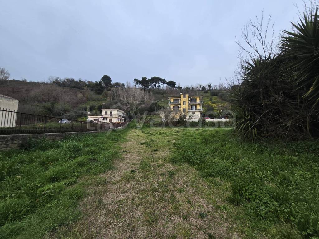 immagine annuncio 9 di 12