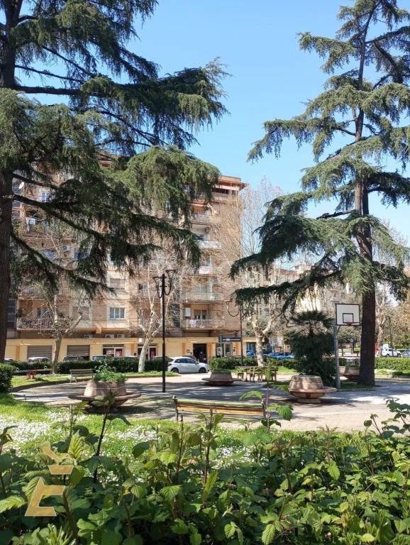 immagine annuncio 6 di 9